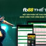 FB88 Nền Tảng Uy Tín Đáng Để Trải Nghiệm
