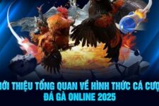 Hướng Dẫn Cá Cược Đá Gà Chi Tiết Từ A-Z Tại Các Nhà Cái Uy Tín