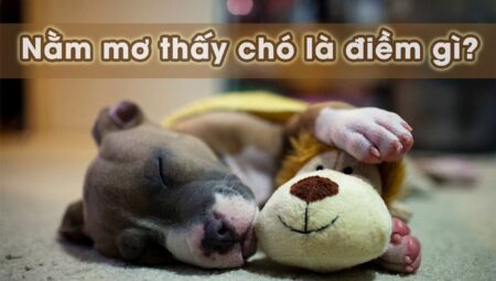 Mơ Thấy Chó Đánh Con Gì Khi Chơi Lô Đề Để Trúng Lớn?