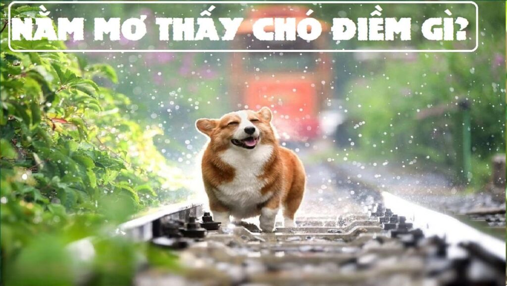 Giải Mã Giấc Mơ Thấy Chó – Tín Hiệu Gì Cho Bạn?