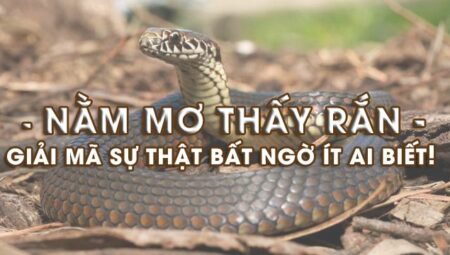 Sổ mơ nhà cái uy tín: Mơ thấy rắn đánh con gì để trúng lớn?