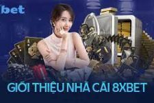 Nhà Cái Uy Tín 8XBET: Nền Tảng Cá Cược Hiện Đại Dành Cho Người Chơi Thông Minh