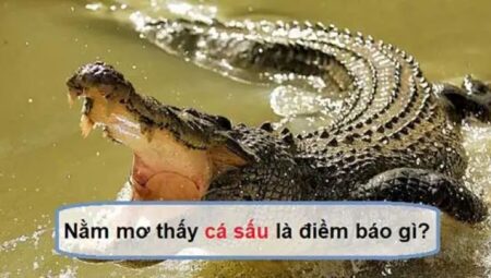Mơ Thấy Cá Sấu Là Điềm Lành Hay Dữ? Nên Đánh Con Gì Khi Chơi Lô Đề?