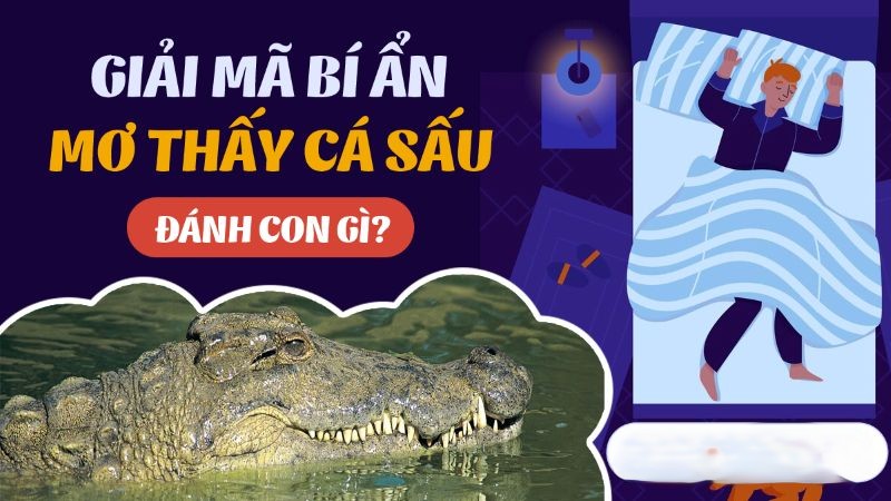Mơ Thấy Cá Sấu Và Những Con Số May Mắn