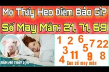 Mơ Thấy Lợn Đánh Con Gì Để Trúng Lớn: Cùng Giải Mã Chi Tiết