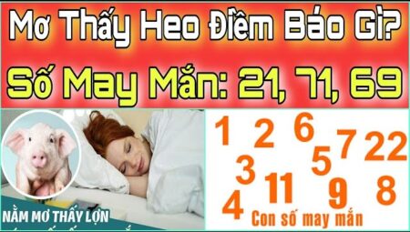 Mơ Thấy Lợn Đánh Con Gì Để Trúng Lớn: Cùng Giải Mã Chi Tiết