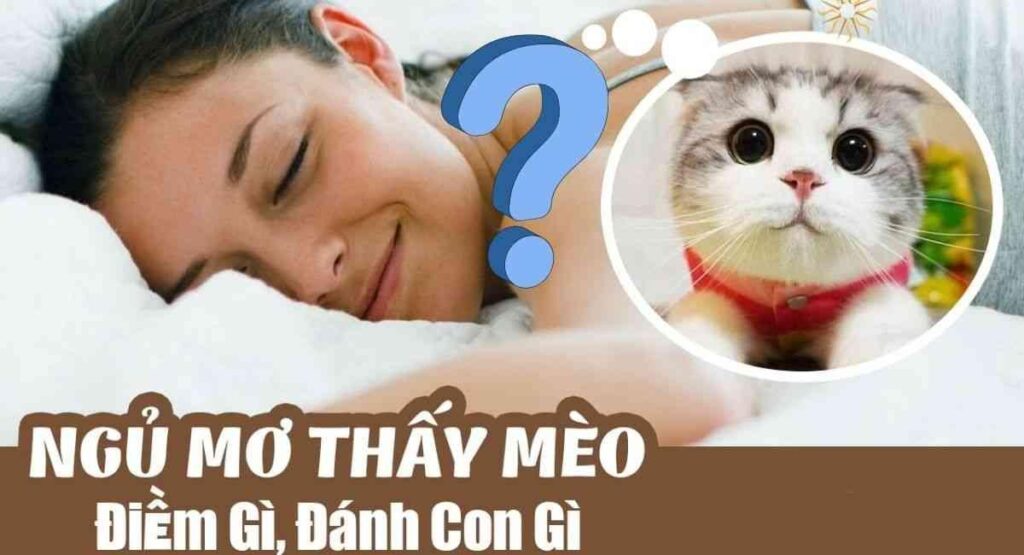 Mơ Thấy Mèo – Biểu Tượng Của Điều Gì?