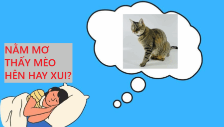 Mơ Thấy Mèo Là Điềm May Hay Rủi? Cùng Nhacaiuytin Giải Mã Chi Tiết