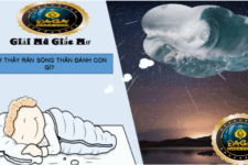 Mơ Thấy Sóng Thần Là Điềm Lành Hay Dữ? Cùng Nhà Cái Uy Tín Giải Mã Chi Tiết