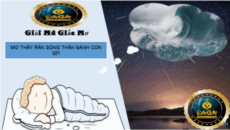 Mơ Thấy Sóng Thần Là Điềm Lành Hay Dữ? Cùng Nhà Cái Uy Tín Giải Mã Chi Tiết