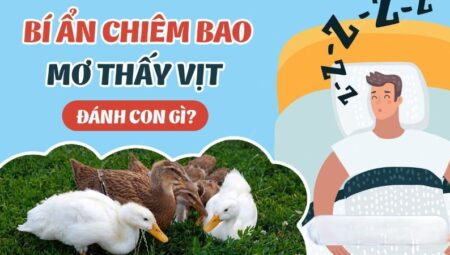 Mơ Thấy Vịt Và Những Điềm Báo Tâm Linh Mà Người Chơi Lô Đề Cần Biết