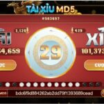 Tài xỉu MD5 và những điều người chơi cá cược cần biết