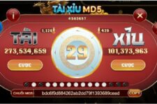 Tài xỉu MD5 và những điều người chơi cá cược cần biết